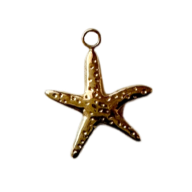 18k Gold textured waterproof starfish charm