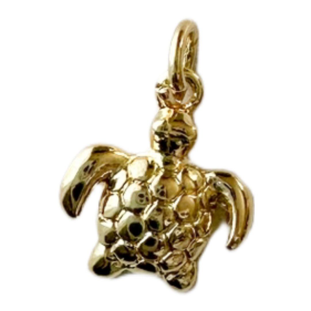Coastal Turtle Charm