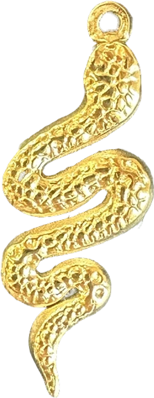 Textured gold snake charm