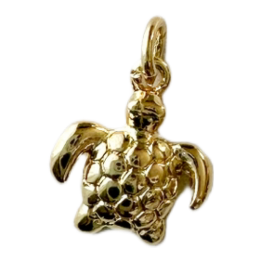 Coastal Turtle Charm