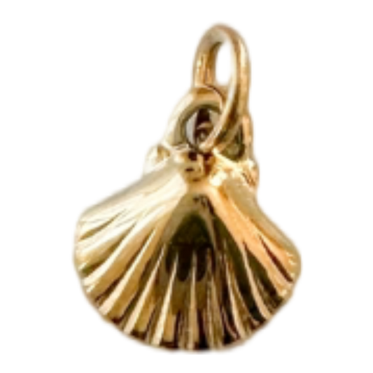 Shell Charm