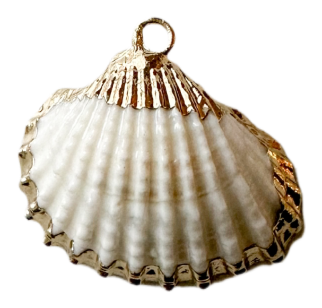 Natural shell charm with gold plated accept