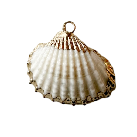 beachy shell charm with gold for beach goer and seashell lover