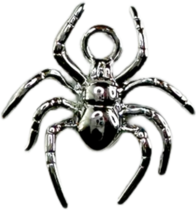 Silver Spider Charm