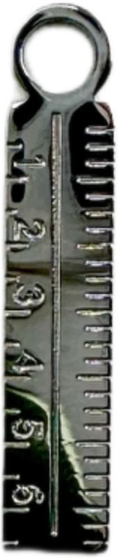 Silver Ruler Charm